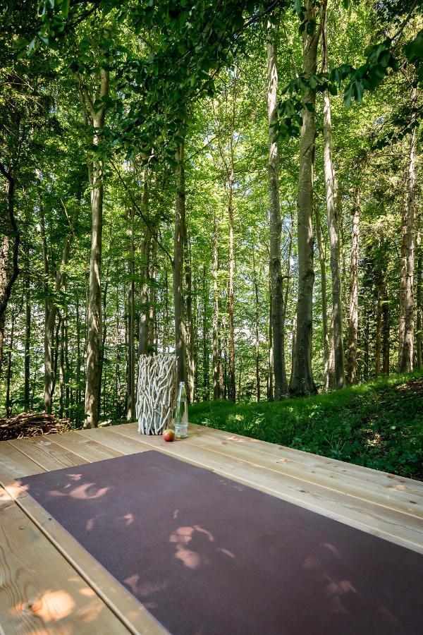 Chiemsee Chalet Frasdorf Exterior foto